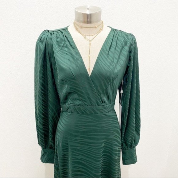 RONNY KOBO Estelle Forest Green Animal Print  V Neck Maxi Dress w/ Slit NWT S - Picture 7 of 11